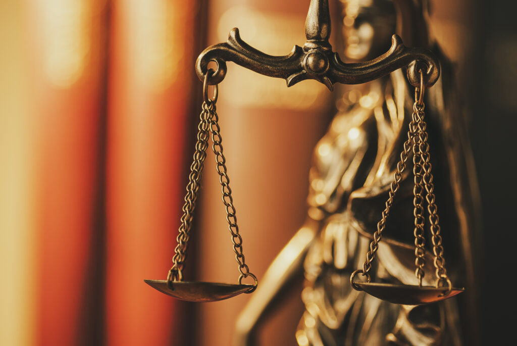 obligations legales site web