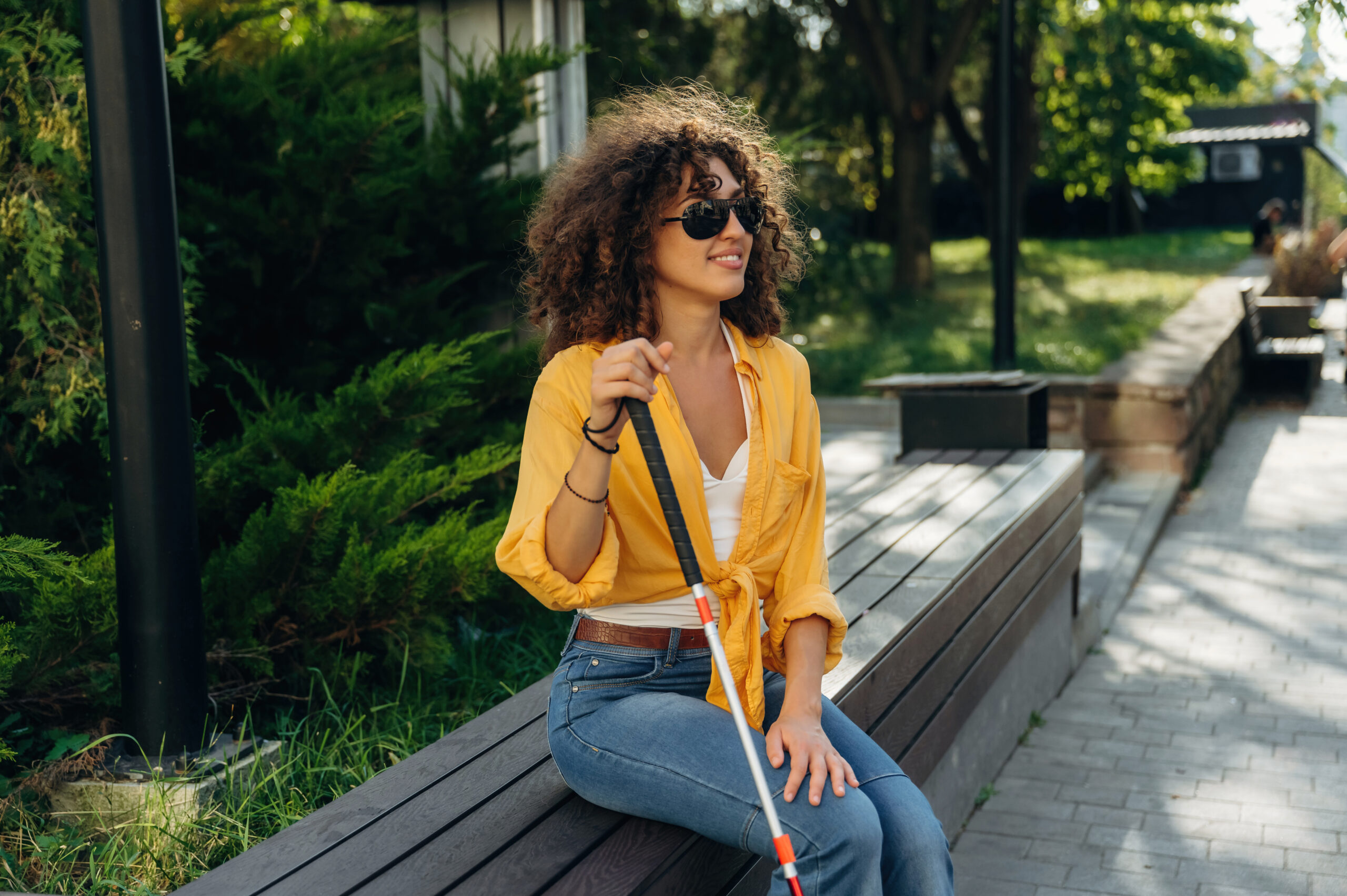 handicap visuel scaled