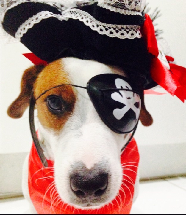 pirate