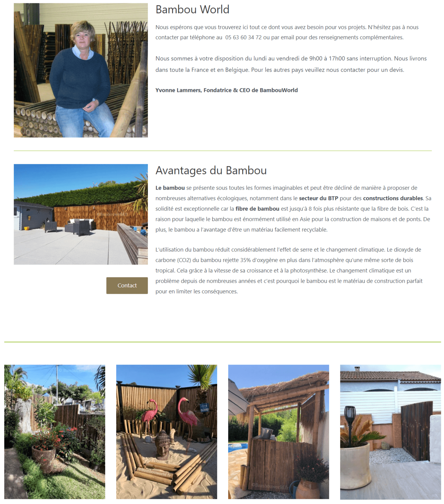 bambouworld a propos