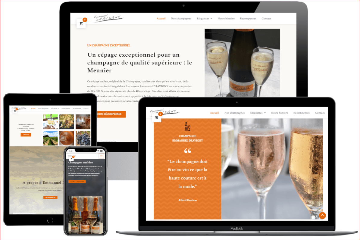 site e-commerce emmanuel dravigny champagne