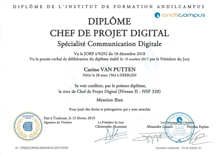 master 1 chef de projet digital specialite communication digitale 1