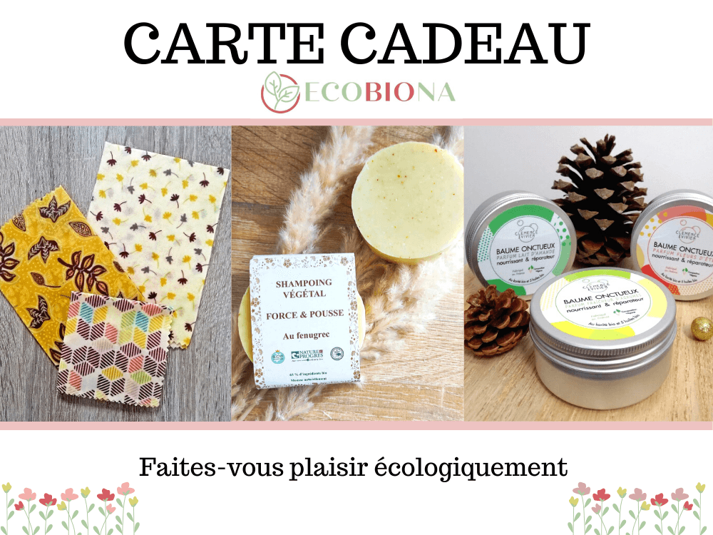 Création d'un site e-commerce de produits écologiques 2 carte cadeau3